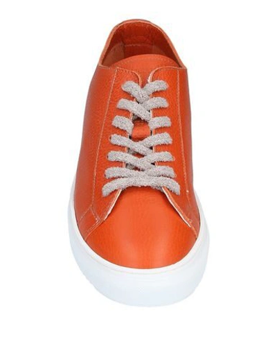 Shop Doucal's Sneakers In Orange