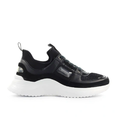 Shop Calvin Klein Black Sneakers