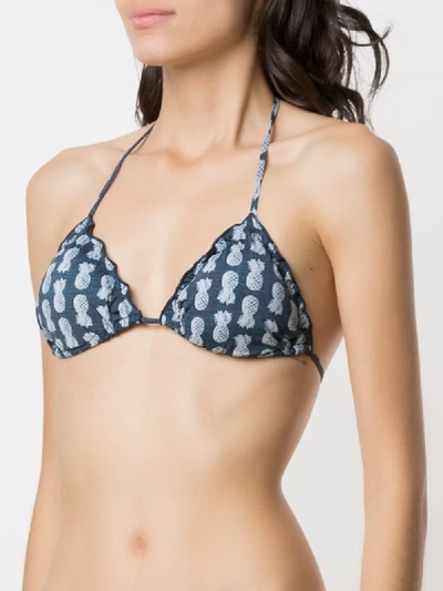 Shop Track & Field Abacaxi Printed Bikini Top In Blue