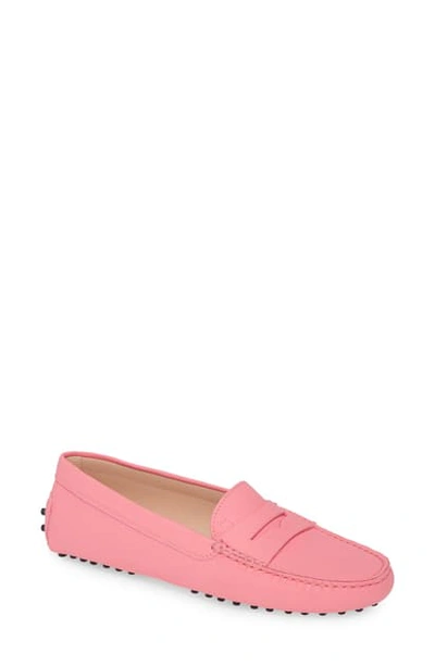 Shop Tod's Gommini Driving Moccasin In Pink