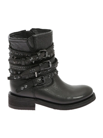 Shop Ash "tempt" Black Ankle Boots
