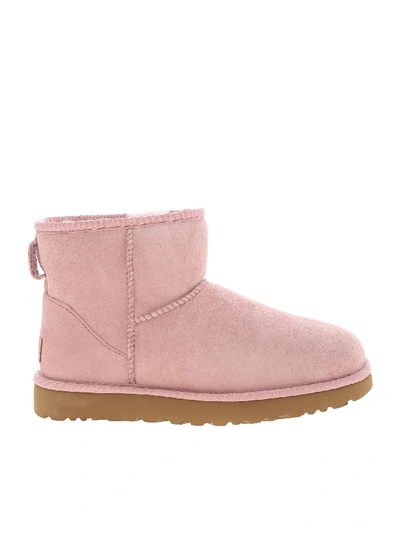 Shop Ugg Classic Mini Ii Ankle Boots In Pink