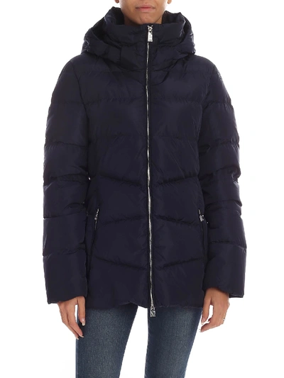 Shop Add Blue Quilted Down Jacket