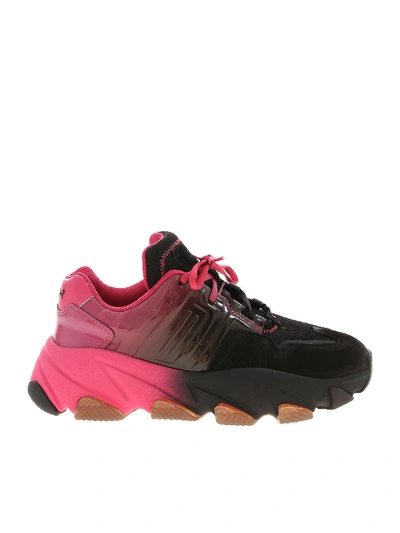 Shop Ash Extasy Sneakers In Black And Fuchsia