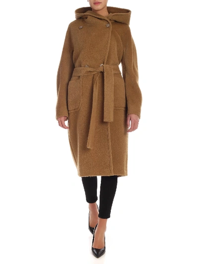 Shop Tagliatore Daisy Hooded Coat In Camel Color