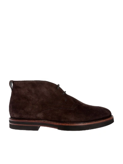 Shop Tod's Desert Shoes In Brown Suede
