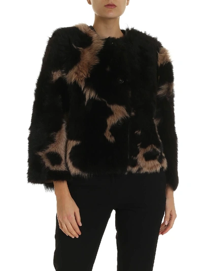 Shop Max Mara Eletta Fur Jacket In Black And Beige