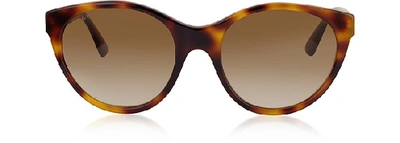 Shop Gucci Designer Sunglasses Gg0419s Cat-eye Acetate Frame Sunglasses In Havana/ Marron