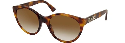 Shop Gucci Designer Sunglasses Gg0419s Cat-eye Acetate Frame Sunglasses In Havana/ Marron