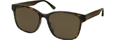 Shop Gucci Designer Sunglasses Rectangular-frame Tortoise Acetate Sunglasses W/web Temples In Havana/ Marron