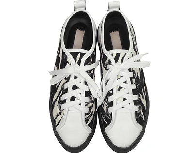 Shop N°21 Shoes Zebra Gymnic Women's Sneakers In Black,white