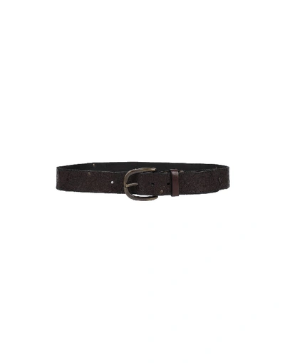 Shop Campomaggi Regular Belt In Dark Brown
