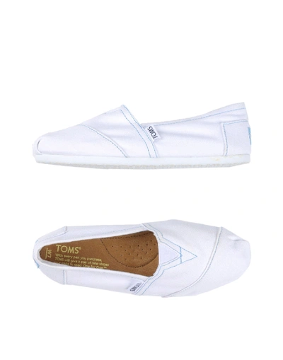 Shop Toms Sneakers In White