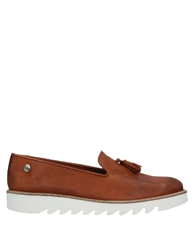 Shop Verba (  ) Loafers In Brown