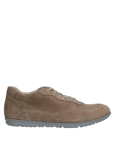 Shop Anderson Sneakers In Sand