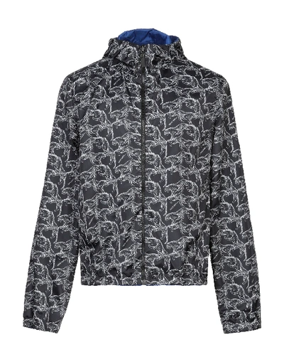 Shop Roberto Cavalli Sport Jacket In Blue