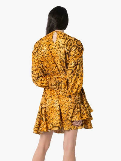 Shop Preen By Thornton Bregazzi Lupita Flared Snake Print Dress In Orange