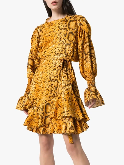 Shop Preen By Thornton Bregazzi Lupita Flared Snake Print Dress In Orange