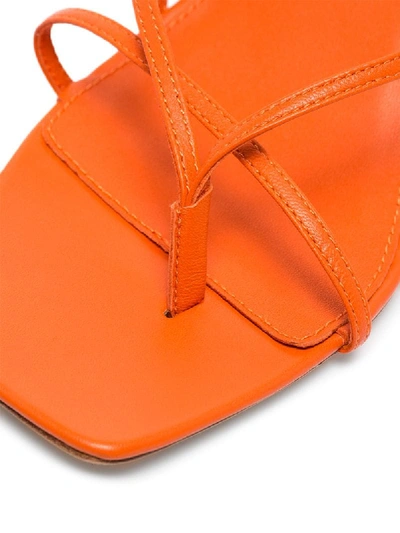 Shop Studio Amelia '2.4' Sandalen In Orange