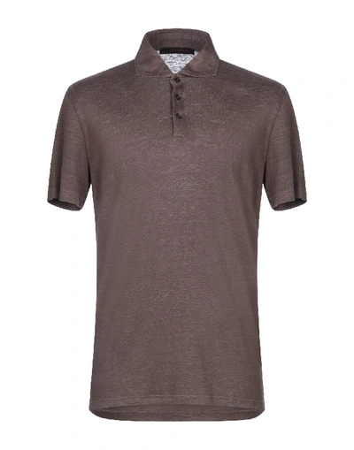 Shop Jeordie's Polo Shirt In Dark Brown