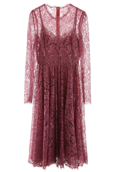 Shop Dolce & Gabbana Lame' Lace Midi Dress In Pink,metallic