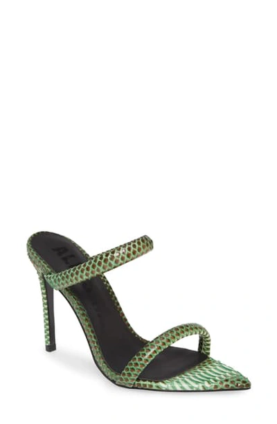 Shop Alias Mae Dua Slide Sandal In Green Snake Embossed Leather