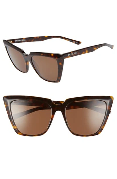 Shop Balenciaga 55mm Cat Eye Sunglasses In Shiny Dark Havana/ Brown