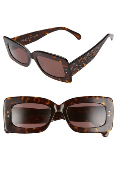 Shop Alaïa 51mm Rectangle Sunglasses In Dark Havana/ Brown