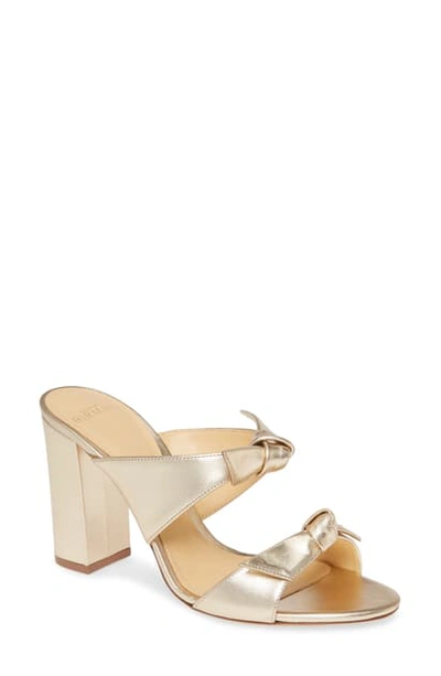 Shop Alexandre Birman Nolita Tie Strap Sandal In Golden Leather