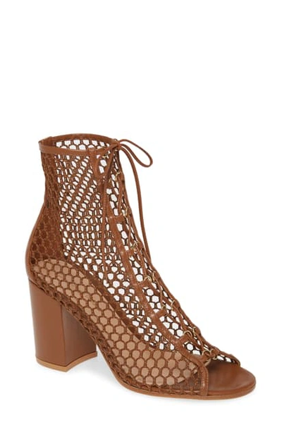 Shop Gianvito Rossi Mesh Lace-up Bootie In Brown