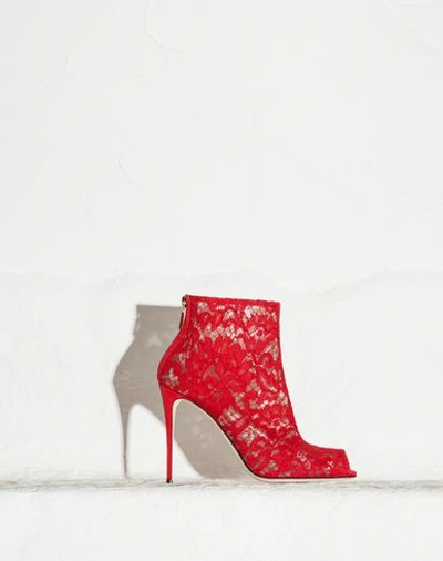 Shop Dolce & Gabbana Cord Lace Bette Ankle Boots In Red