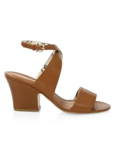 Shop Ferragamo Sheena Wraparound Leather Sandals In Sella
