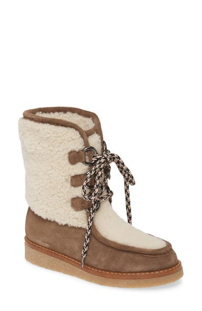 Shop Aquatalia Wynter Water Resistant Genuine Shearling Boot In Taupe/ Natural