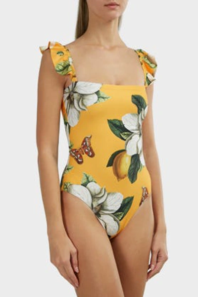 Shop Agua Bendita Nativa Floral One-piece Swimsuit