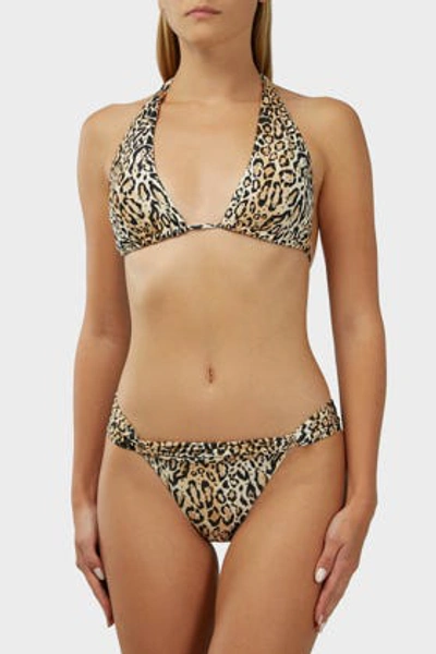 Shop Melissa Odabash Grenada Animal-print Bikini Bottoms