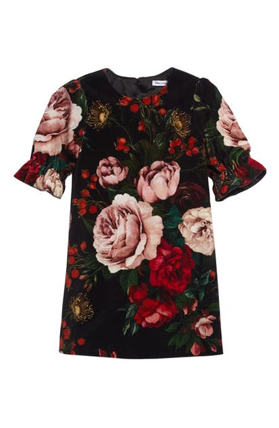 Shop Dolce & Gabbana Floral Velveteen Dress In Rose/ Black