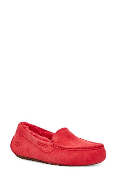 Shop Ugg Ansley Water Resistant Slipper In Ribbon Red Suede