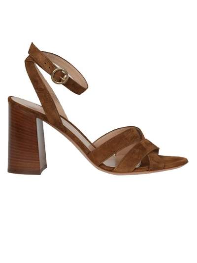 Shop Gianvito Rossi Ankle Strap Sandal, Texas Brown