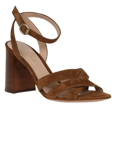 Shop Gianvito Rossi Ankle Strap Sandal, Texas Brown