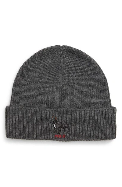 Shop Polo Ralph Lauren French Bulldog Knit Hat In Charcoal