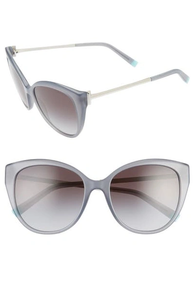 Shop Tiffany & Co 55mm Gradient Cat Eye Sunglasses In Opal Grey/ Grey Gradient Black