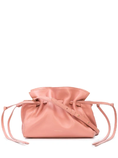 Shop Mansur Gavriel Mini Protea Bag In Pink