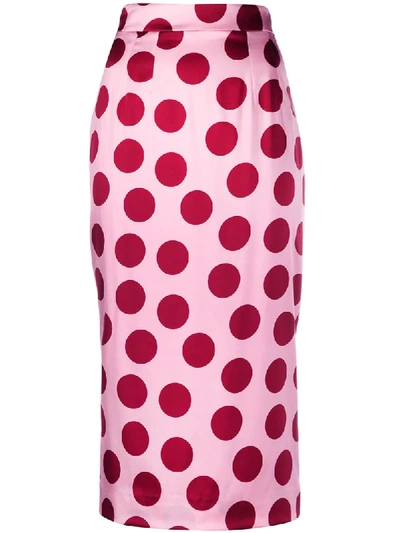 Shop Dolce & Gabbana Polka Dot Pencil Skirt In Pink