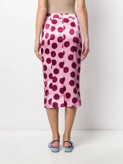 Shop Dolce & Gabbana Polka Dot Pencil Skirt In Pink