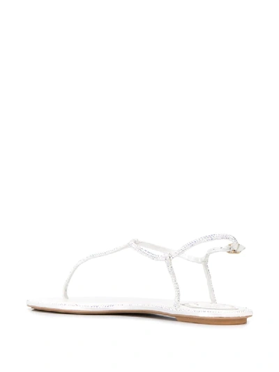 Shop René Caovilla Crystal-embellished Thong Sandals In White