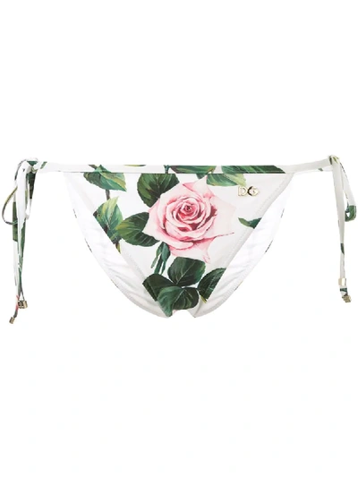 Shop Dolce & Gabbana Rose Print Bikini Bottoms In Multicolour