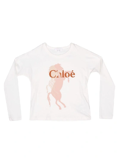 Shop Chloé Horse Print Long Sleeve T-shirt In White/brown