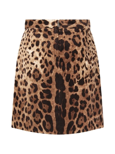 Shop Dolce & Gabbana Animalier Print Skirt For Girl In Multicolor