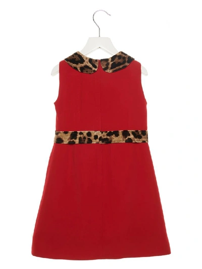 Shop Dolce & Gabbana Dress In Red