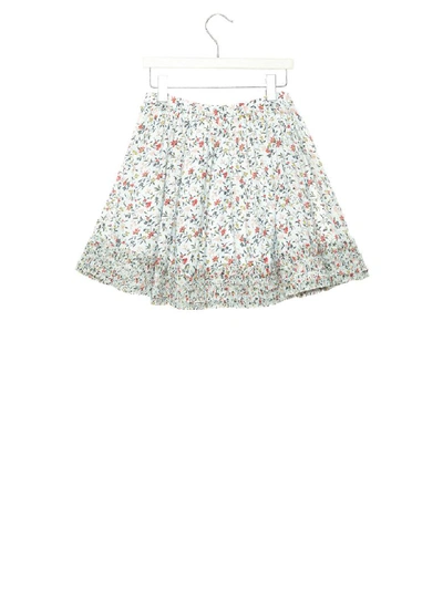 Shop Chloé Skirt In Multicolor